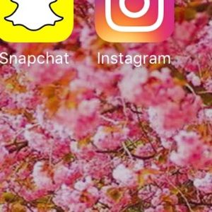 Meet your Posher, Daisy